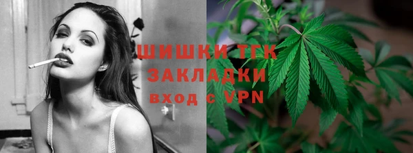 гидра Бородино
