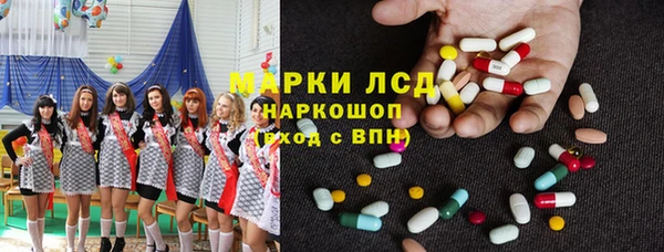 гидра Бородино