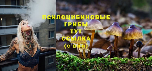гидра Бородино