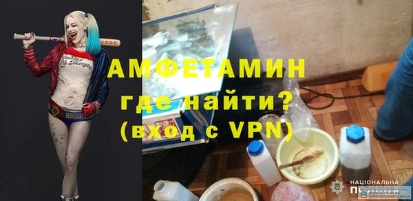 гидра Бородино
