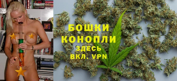гидра Бородино