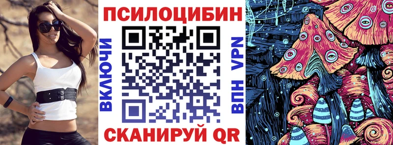 Псилоцибиновые грибы ЛСД  кракен зеркало  Городовиковск 